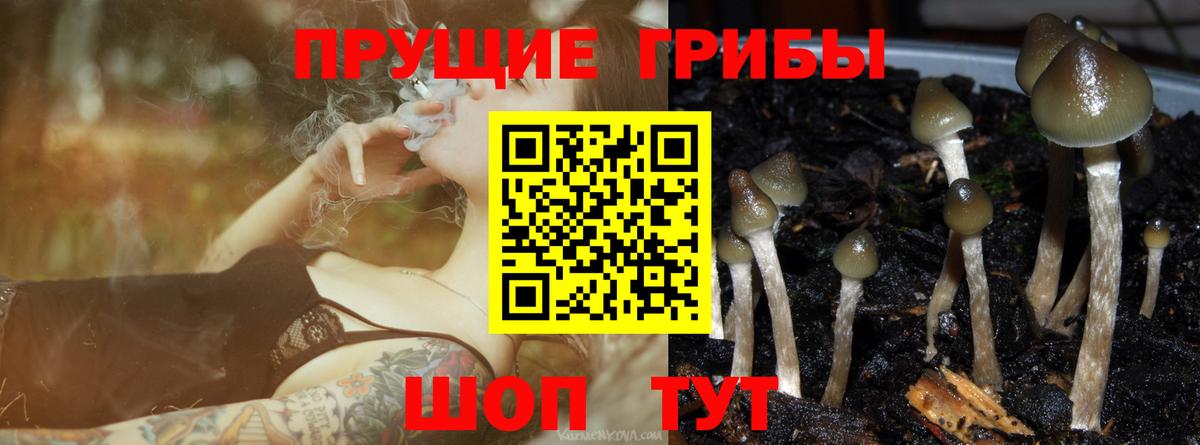 Псилоцибиновые грибы Psilocybe  Галлюциногенные грибы прущие грибы  Вход с VPN  Нижнекамск 