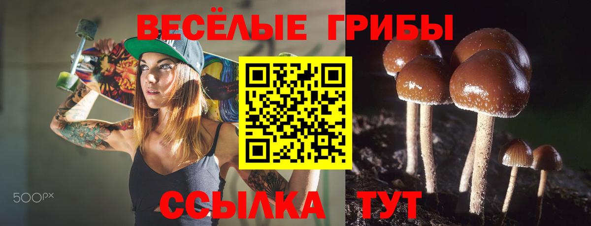 Псилоцибиновые грибы Cubensis Нижнекамск